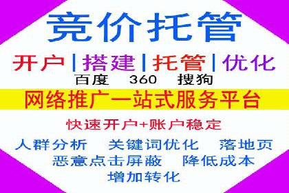 竞价排名中的数据分析和优化案例